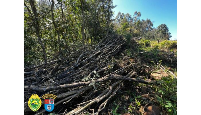 Laranjeiras - Proprietário rural é autuado em R$ 129.000 por destruição de vegetação nativa